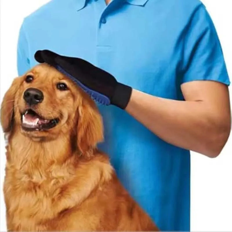 A person wearing a blue shirt is using black pet grooming gloves to groom a golden retriever dog.