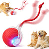 Rotes automatisches Rollspielzeug für Haustiere, mit einer Katze und einem Hund, die damit interagieren.