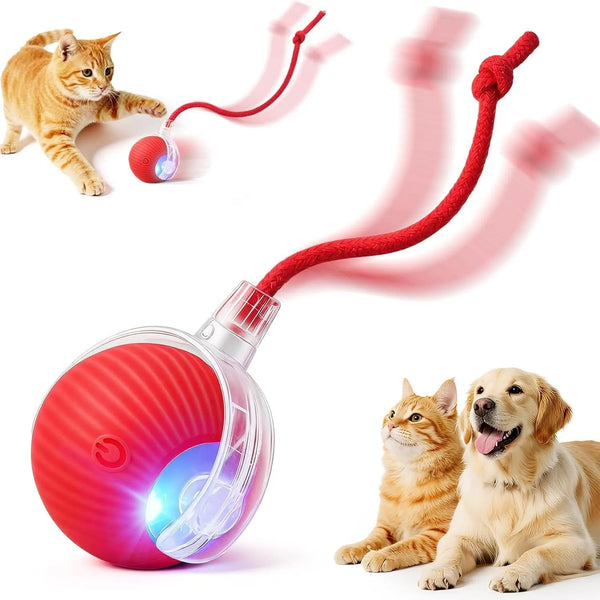 A red automatic rolling pet toy is shown with a cat and a dog interacting with it.