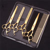 A black case holding a professional stainless steel pet grooming scissors set and a grooming brush.