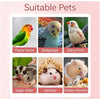 A grid showing various suitable pets including a Peony Parrot, Budgerigar, Zebra Finch, Sugar Glider, Hamster, and Golden Ham