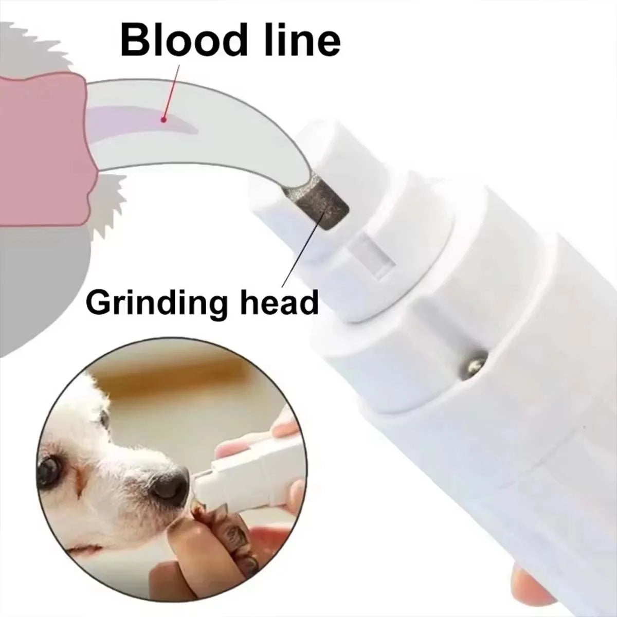 A close-up of an electric pet nail grinder with a grinding head being used on a dog's nail.