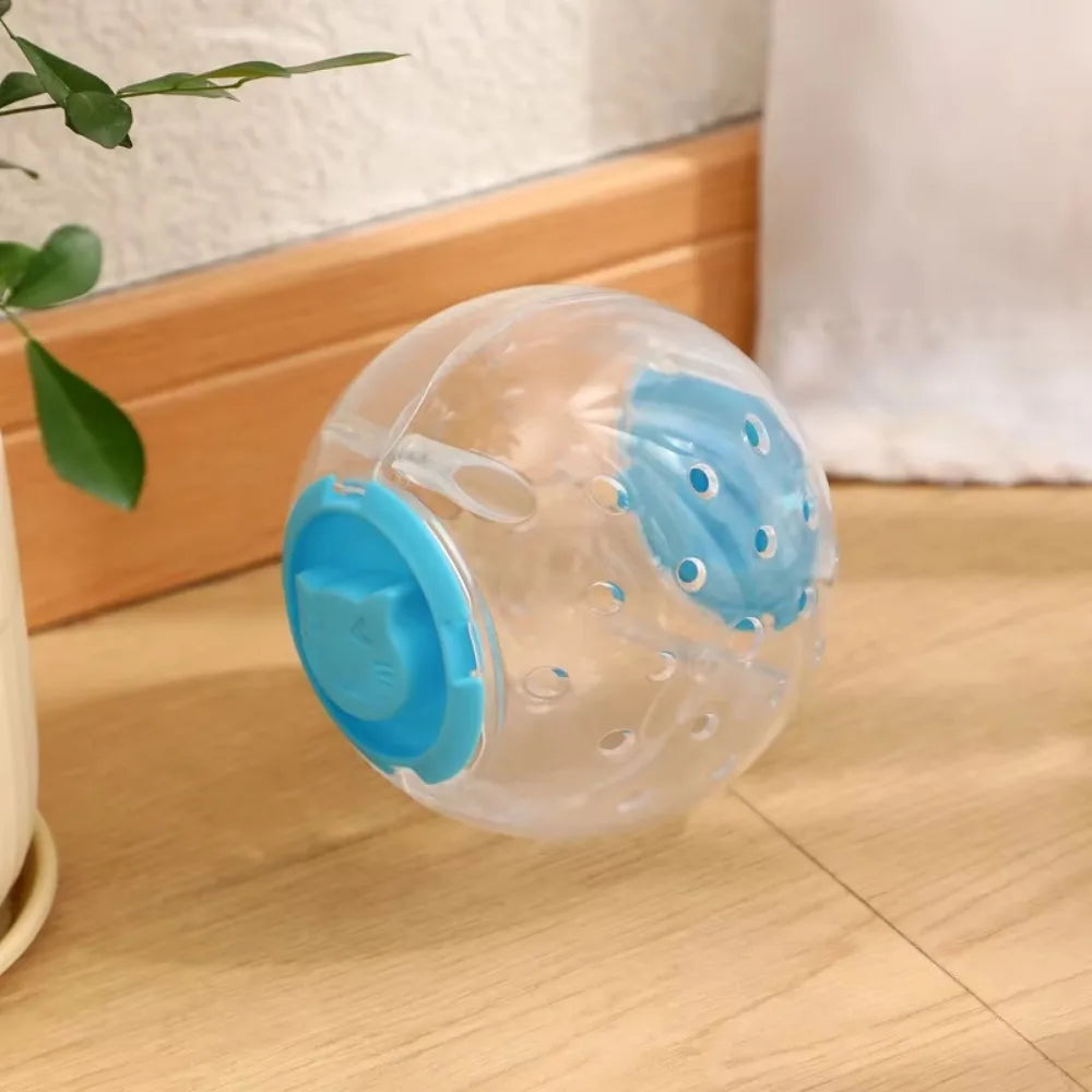 A clear plastic ball with blue accents used for hamster exercise and play.