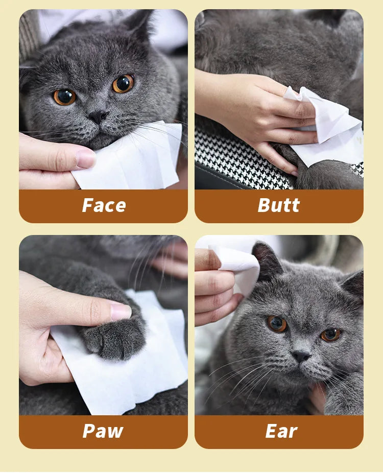 Four images showing plant-based multi-purpose pet wipes being used on a cat's face, butt, paw, and ear.