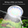 Lumière LED pour aquarium clip-on illuminant une scène sous-marine vibrante avec plantes et poissons.