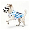 A fluffy white dog wearing a blue and black striped vest is running while holding a soccer ball.