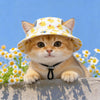A fluffy orange tabby kitten wearing a yellow duck print pet cap, looking directly at the camera.