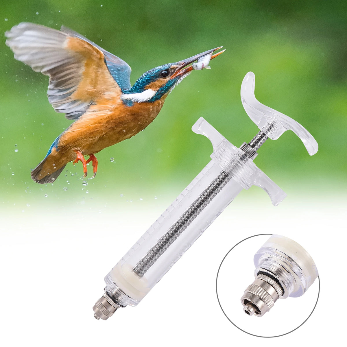 A vibrant blue and orange bird in flight next to a clear plastic stainless steel bird feeding syringe.