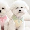 A fluffy white dog wearing a light green shirt sitting on a white surface.