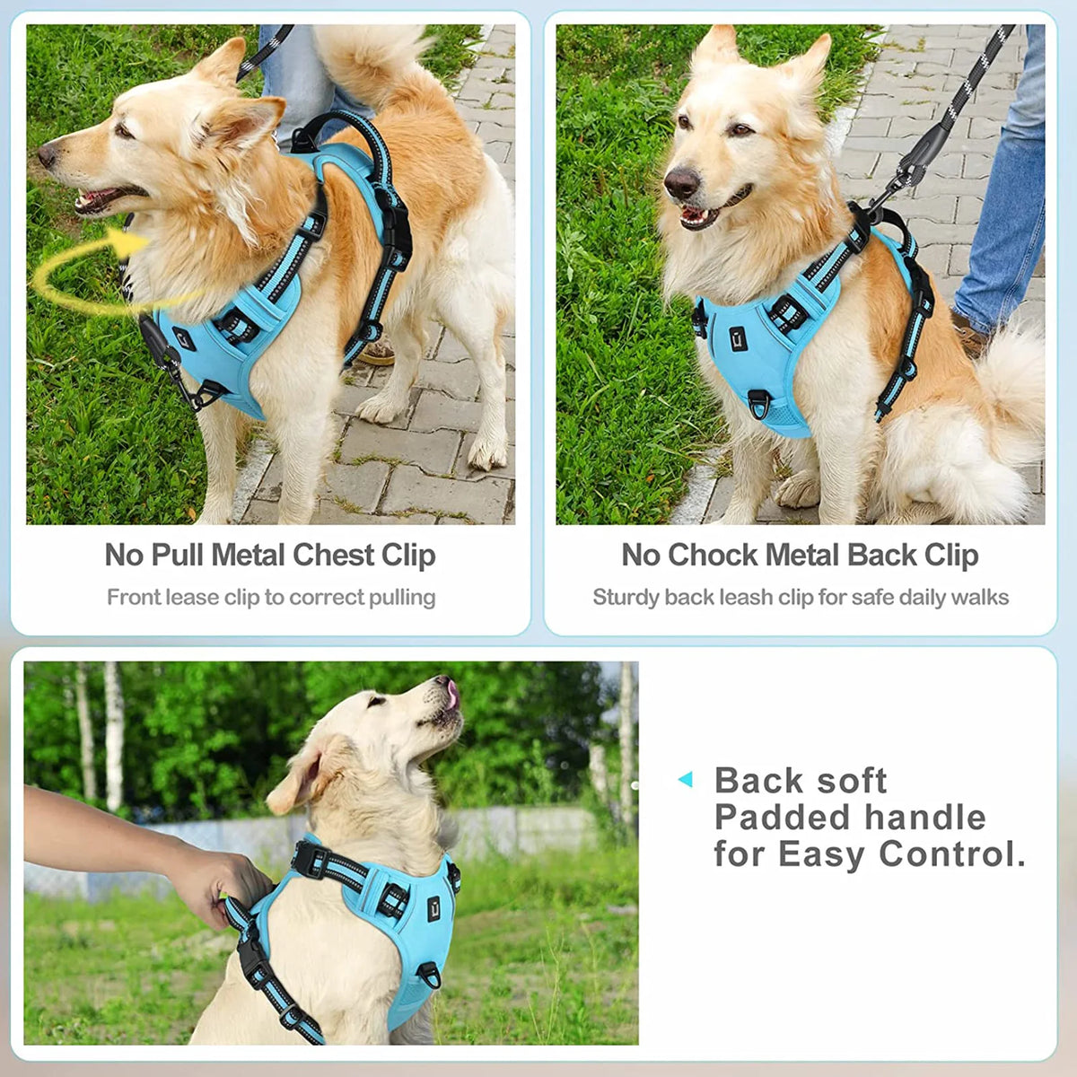 A pet wearing a blue harness with a soft padded handle for easy control.