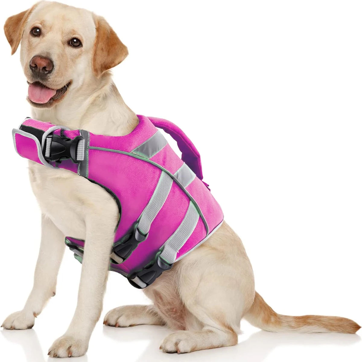 Ein helles Hund trägt eine leuchtend pinke und graue wasserdichte reflektierende Hundeweste.