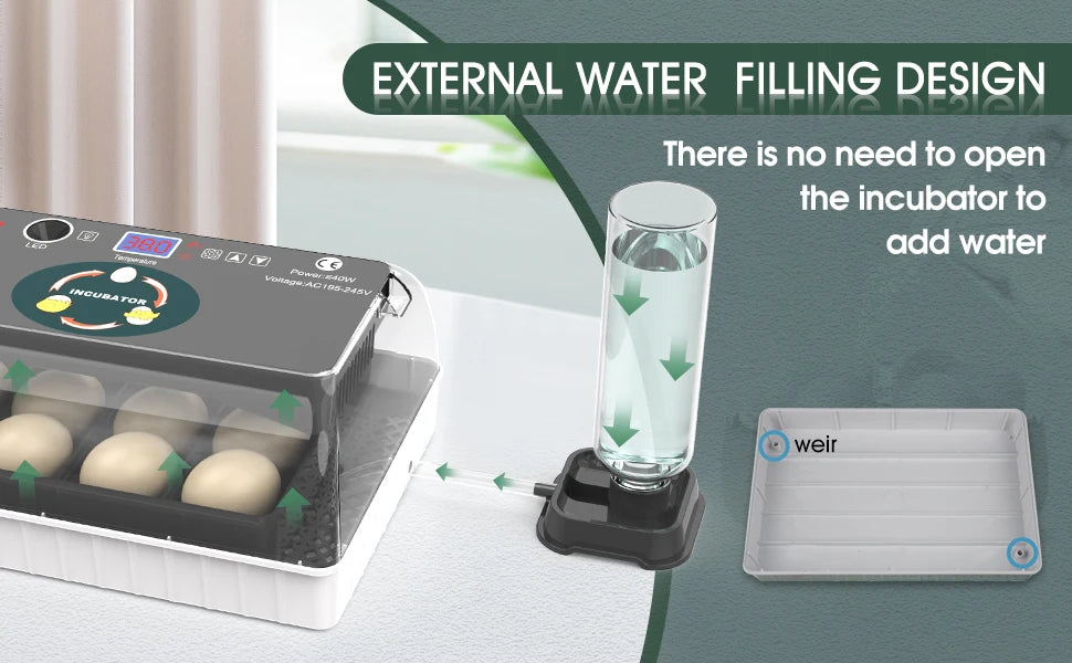 Incubateur à œufs automatique avec système de remplissage d'eau externe et dispositif séparé.