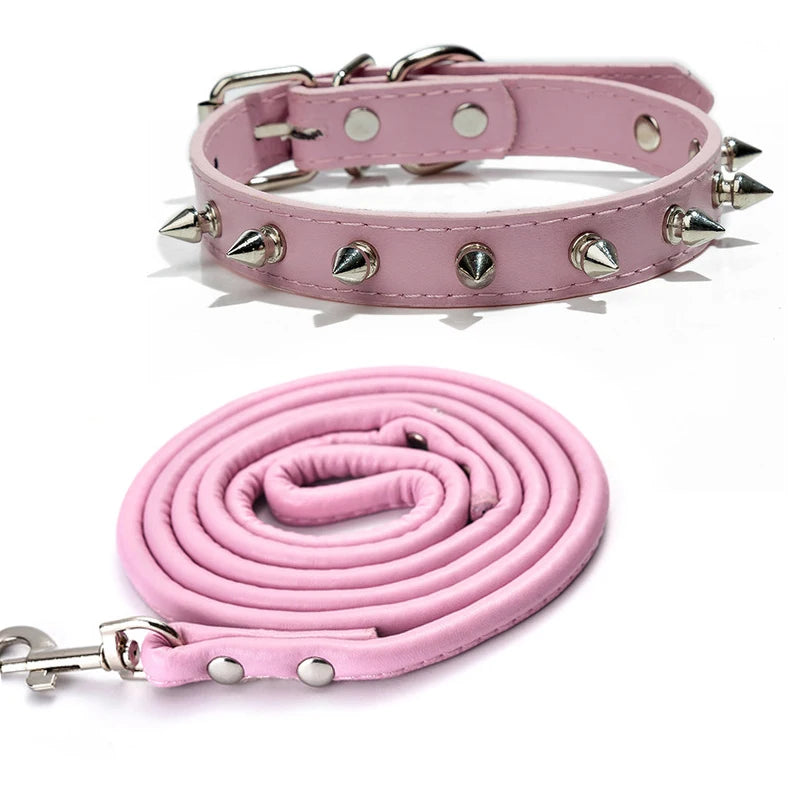 Pink studded leather dog collar with metal rivets shown flat and coiled