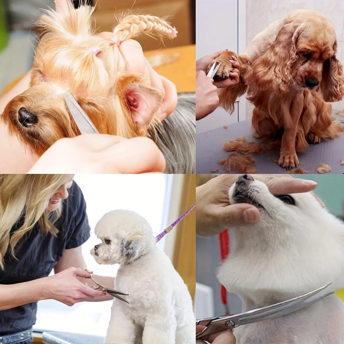 A collage showing various uses of professional stainless steel pet grooming scissors on different animals.