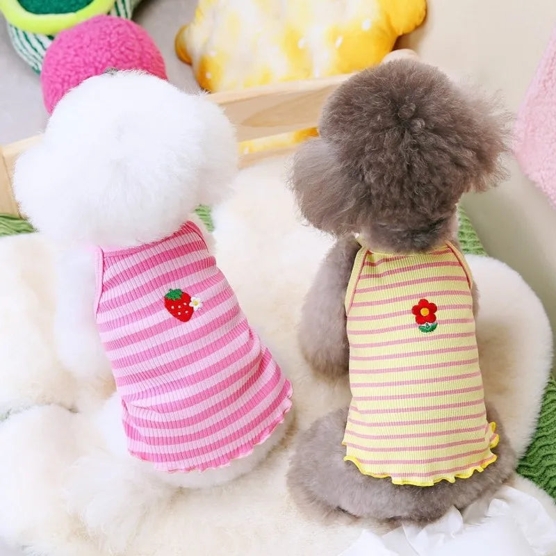 A fluffy white dog wearing a pink striped vest and a gray dog wearing a yellow striped vest.