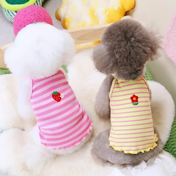 A fluffy white dog wearing a pink striped vest and a gray dog wearing a yellow striped vest.