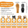 Guide showing measurements for dog socks sizes XS to XL including paw width and sock length.