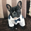 Un perro negro vistiendo un traje blanco con rayas azules y una corbata, sentado sobre una alfombra marrón.