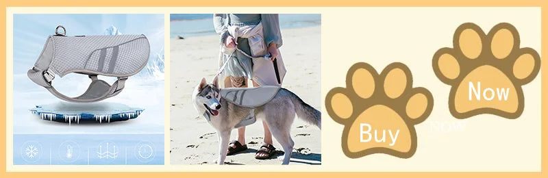 A dog wearing an evaporative cooling vest and reflective harness on a beach.