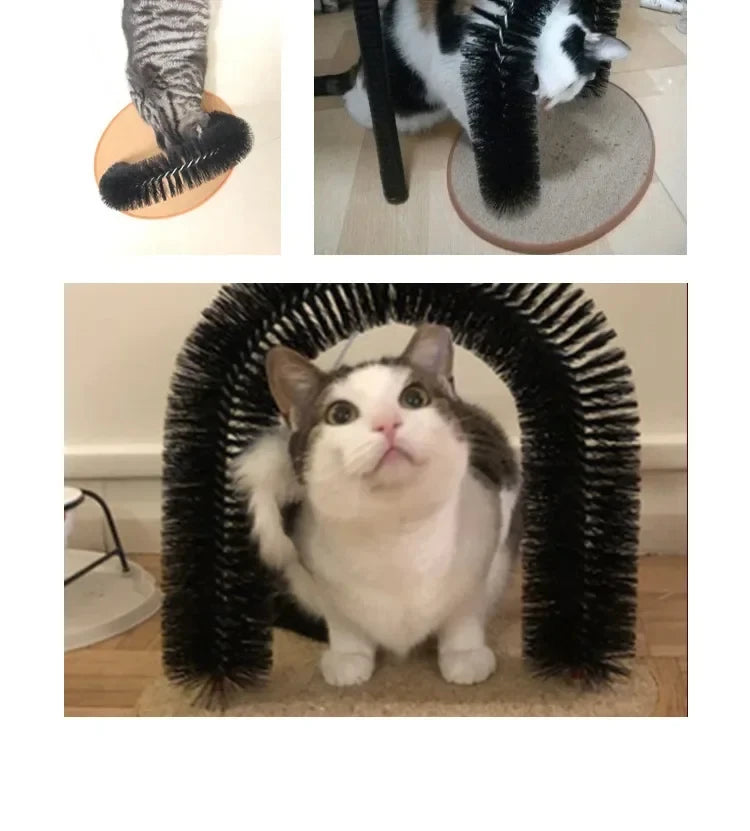 Eine schwarz-weiße Katze befindet sich in einer bogenförmigen Pflegetang für Massagen.