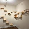 A wall features a wooden cat climbing shelf and bridge structure mounted on the wall.