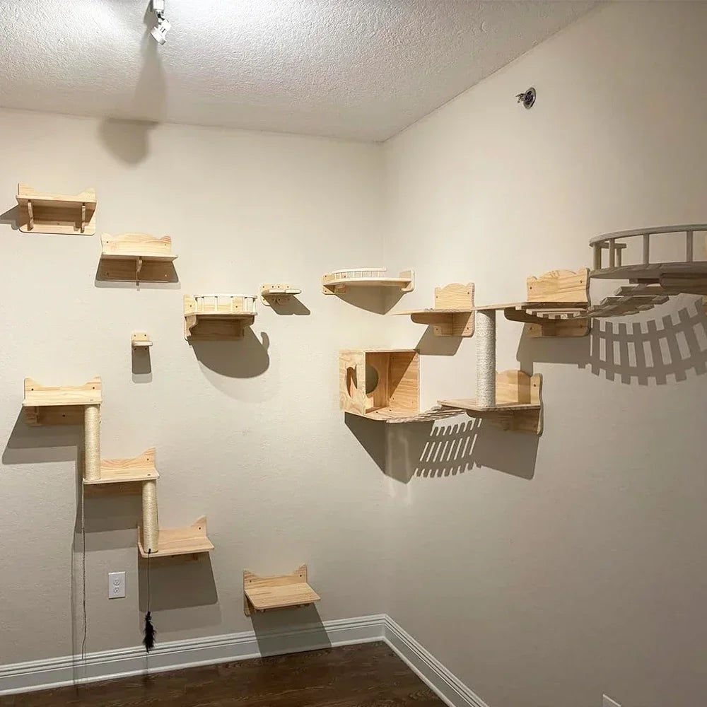 A wall features a wooden cat climbing shelf and bridge structure mounted on the wall.