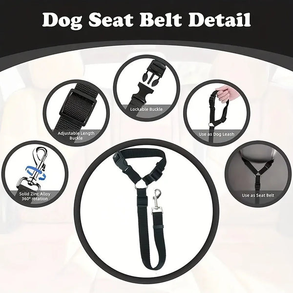 Detail view of an adjustable dog seat belt showing various buckles and leash attachments.