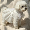 A fluffy white dog wearing an elegant white dress with lace and bows, standing in bright sunlight.