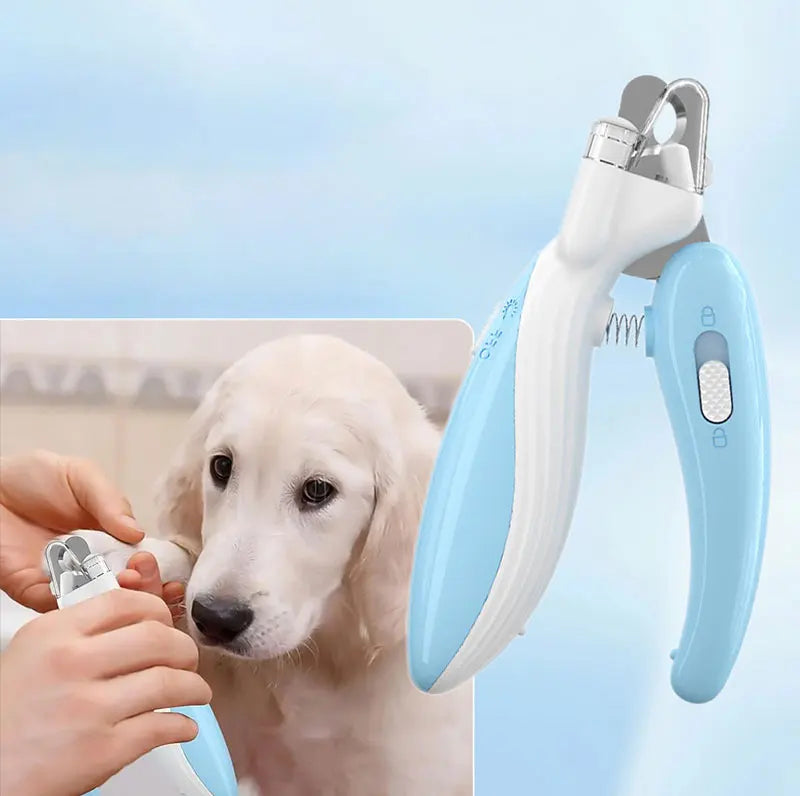 A hand is using a blue LED pet nail clipper on a dog's paw.