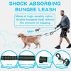Stoßdämpfendes Bungee-Leash mit einem Hund, das seine Verwendung zur Reduzierung des Ziehens demonstriert.