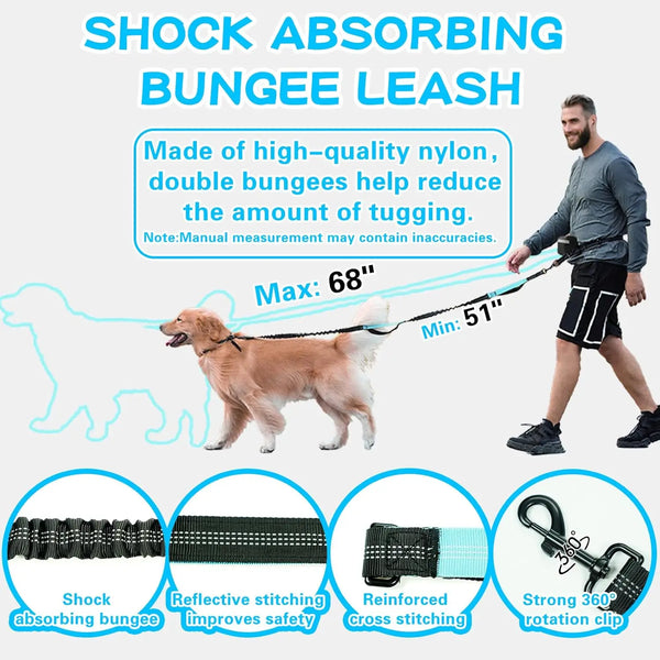 Shock absorbing bungee leash shown with a dog, demonstrating its use for reducing tugging.