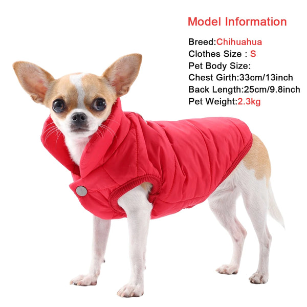 Veste polaire rouge imperméable pour chien Chihuahua, vue de profil.