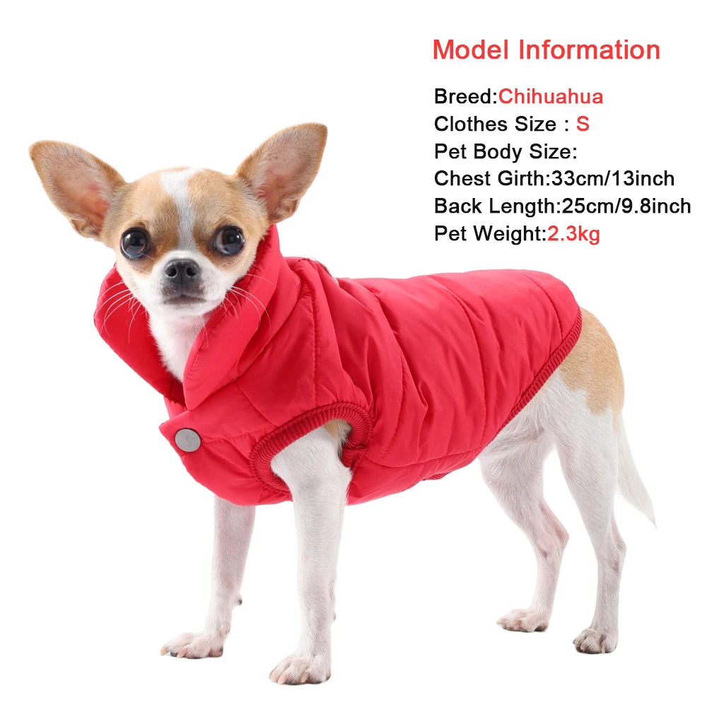 Un petit chien Chihuahua portant un manteau d'hiver en polaire imperméable rouge.