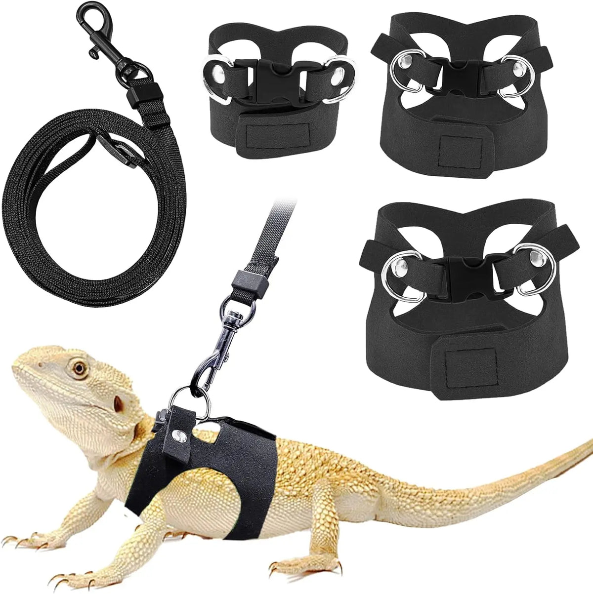 طقم جلد أسود وقيود لثعبان المهر (الـ bearded dragon)، مع عرض للمكونات المختلفة.
