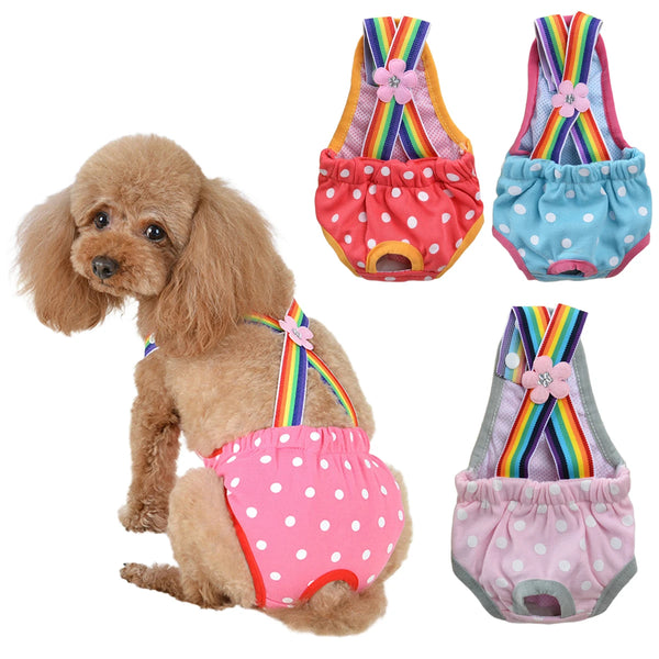A fluffy light brown dog wearing colorful, striped physiological underwear with pink accents.