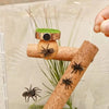 A mini magnetic spider hide decor featuring a green moss top and brown base, displayed in clear packaging.