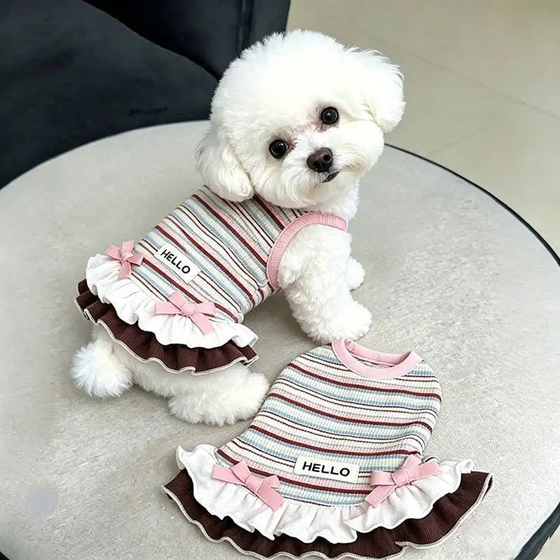 A white poodle wearing a striped dress with pink bowknot and ruffle trim.