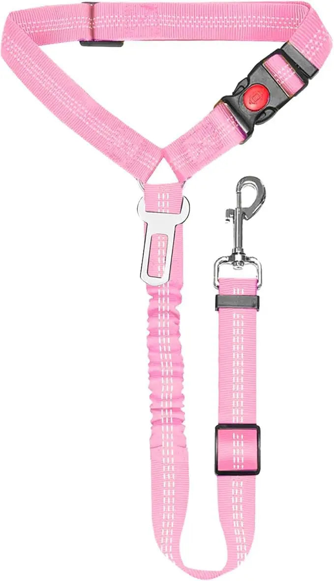 Pink automatic retractable dog leash with buckle and clip attached to a collar.