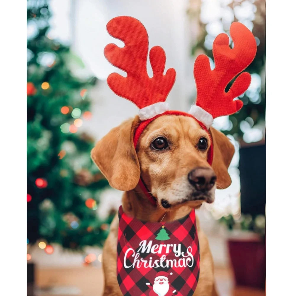 A golden-colored dog wearing a red reindeer antler headband and a plaid Christmas bandana.