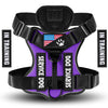 A purple service dog harness with black straps and a paw print emblem is shown against a white background.