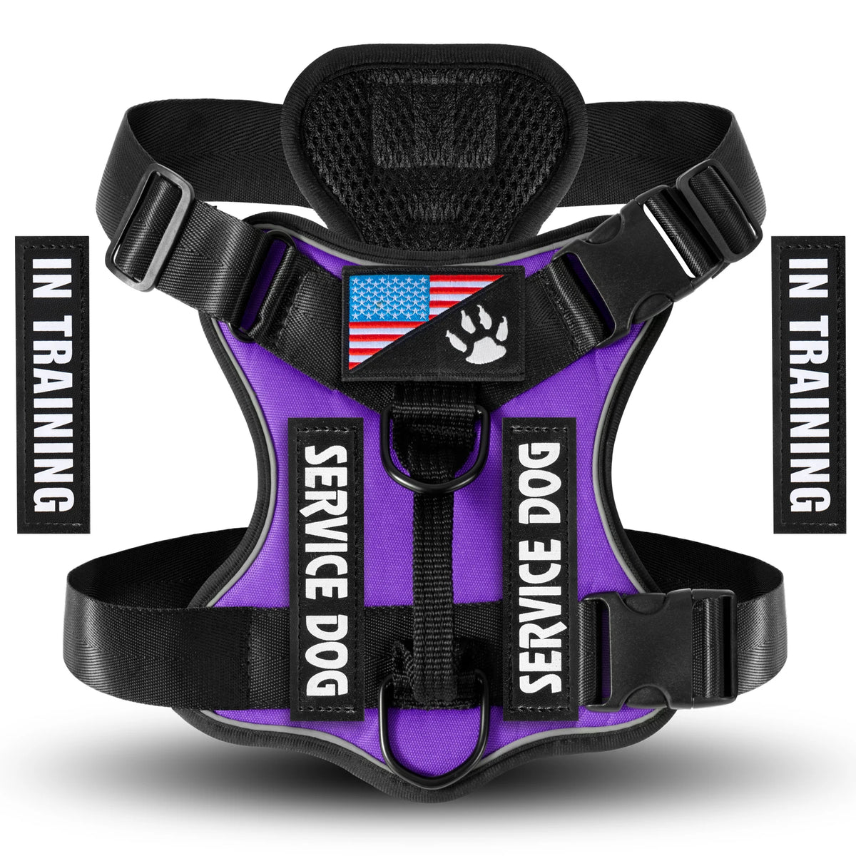 A purple service dog harness with black straps and a paw print emblem is shown against a white background.