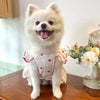 Un chien blanc duveteux portant une jolie robe d'été avec des bordures rouges et des cœurs.