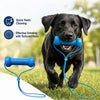 A black dog is playing with a blue dual-action dental chew toy and tug rope for teeth cleaning.