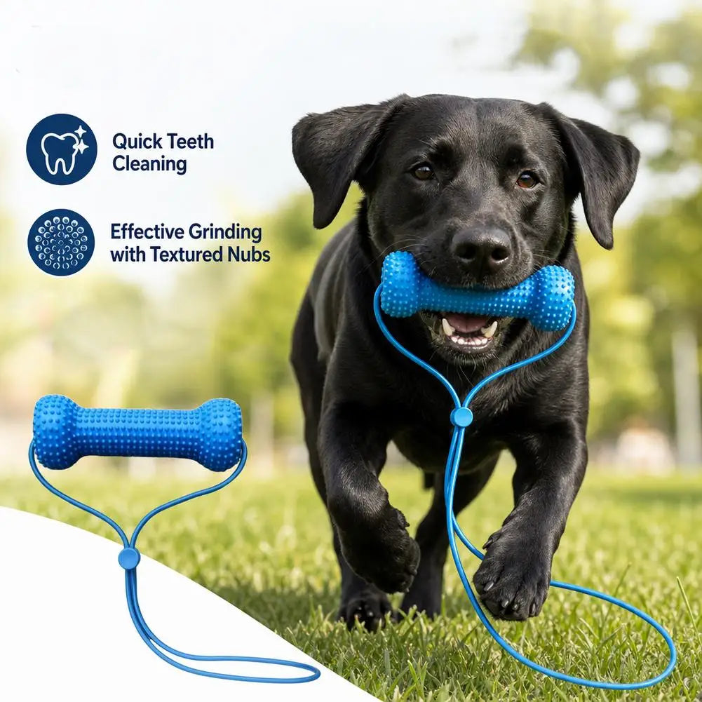 A black dog is playing with a blue dual-action dental chew toy and tug rope for teeth cleaning.