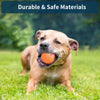 Ein glücklicher hellbrauner Hund liegt auf grünem Gras mit einem orangen Spielball im Maul.