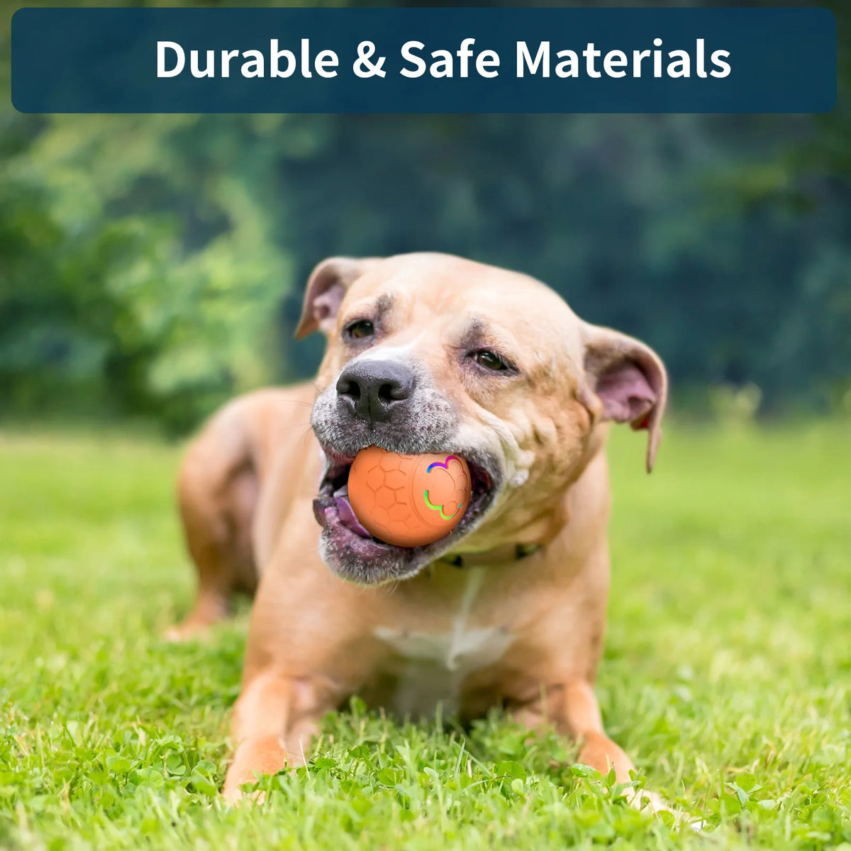Ein glücklicher hellbrauner Hund liegt auf grünem Gras mit einem orangen Spielball im Maul.