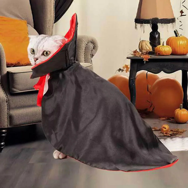A fluffy white cat wearing a dark gray vampire cape with red trim sitting on a chair.