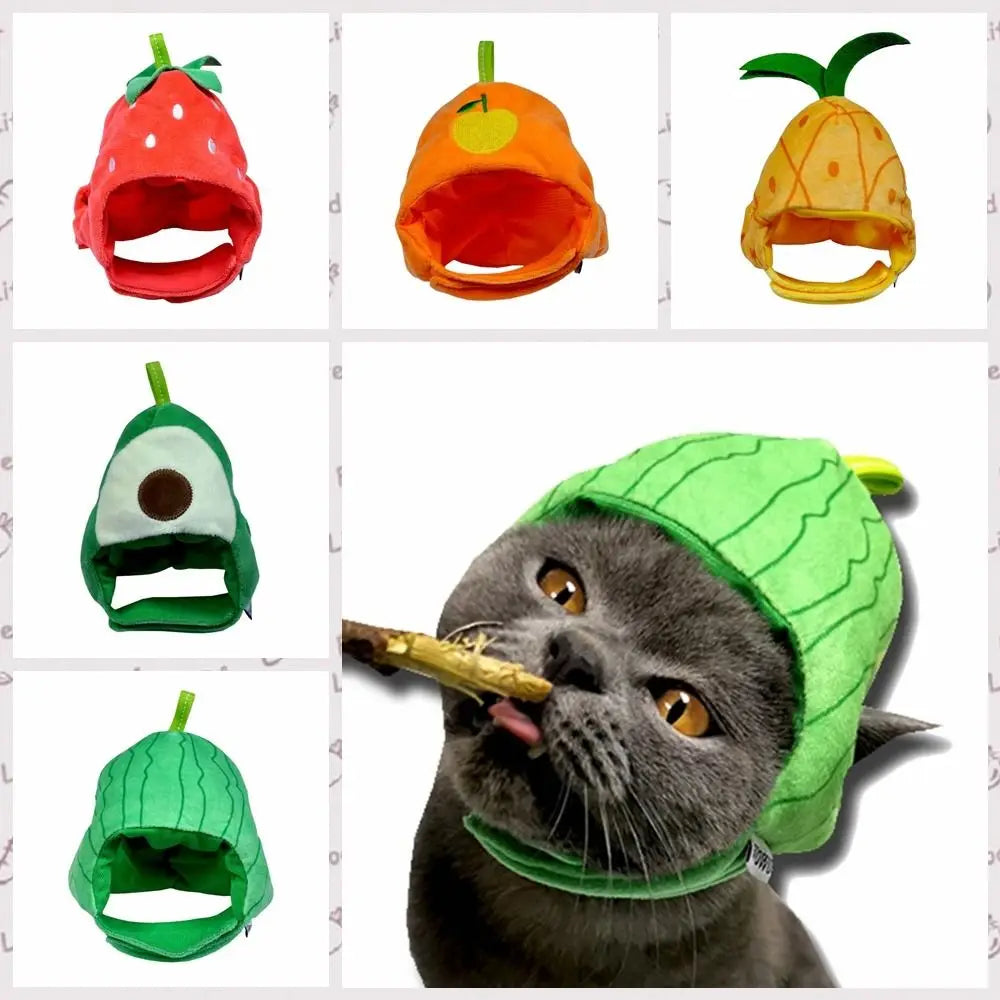 A tabby cat wearing a green fruit-shaped hat, similar to an orange or green fruit, with a tongue sticking out.