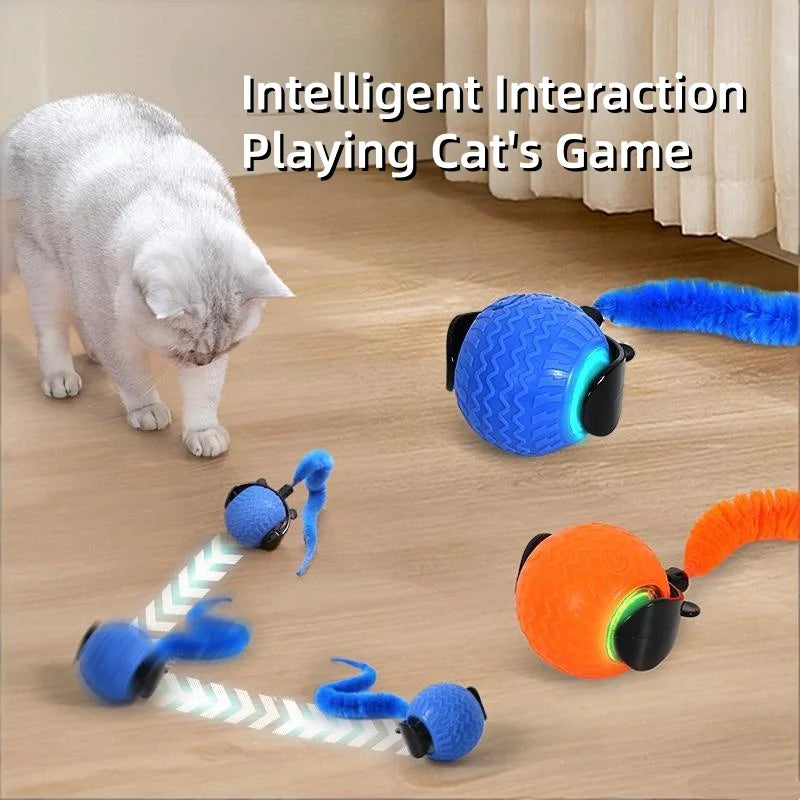 Graue Katze und verschiedene bunte, intelligente Spielzeuge für Katzen mit blauen und orangen Bällen