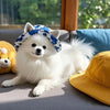 Ein flauschiger weißer Hund mit einer blau gemusterten Bucket-Cap entspannt auf einem grauen Sofa.